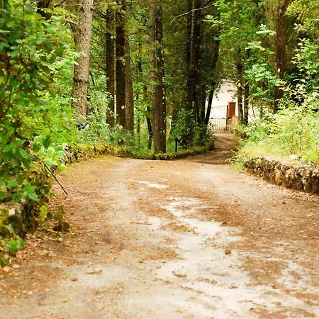 Monte Malbe Charming With Garden And Parking Apartamento *